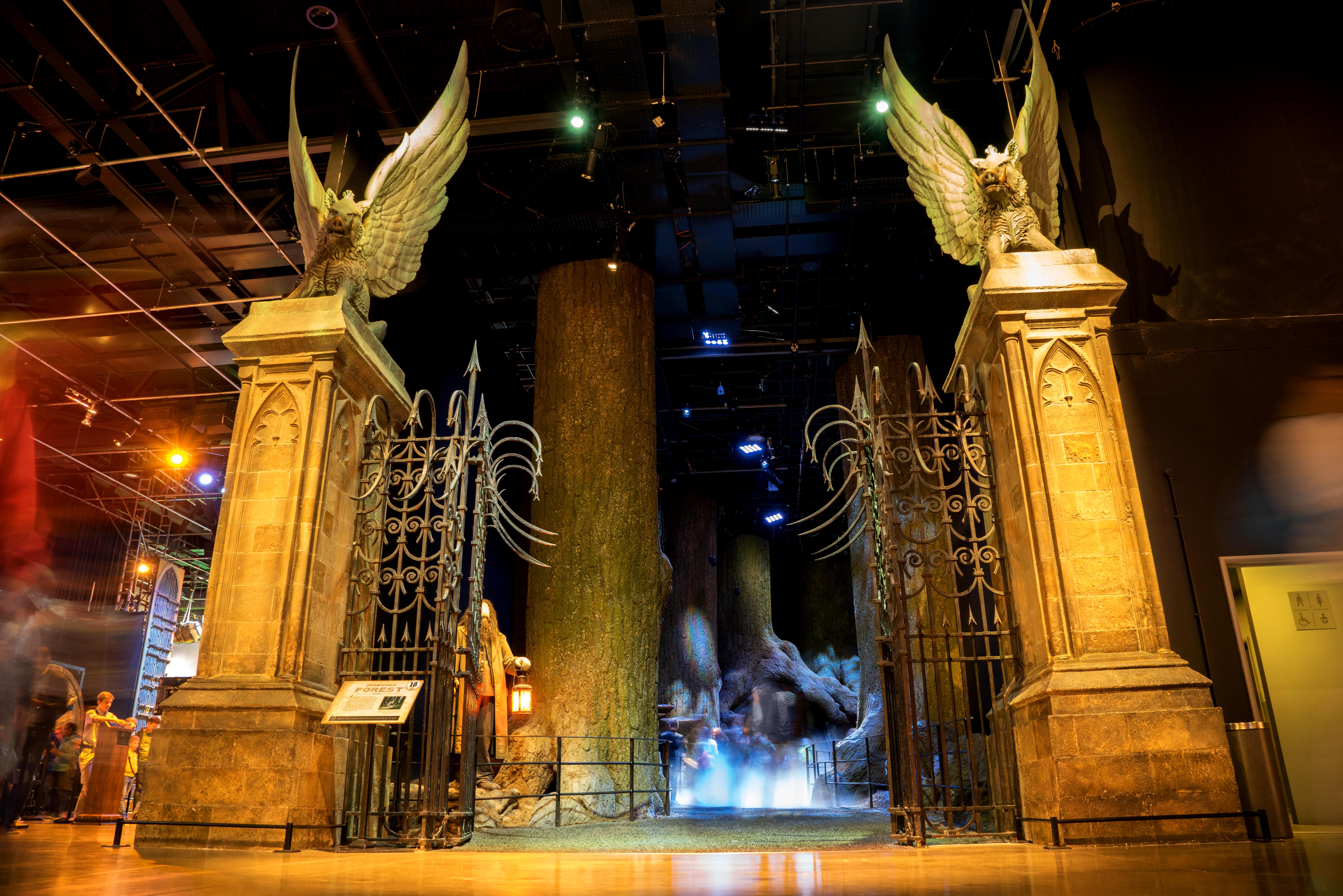 The entrance to the Forbidden Forest at the Making of Harry Potter&nbsp;- one of the best family days out in the UK