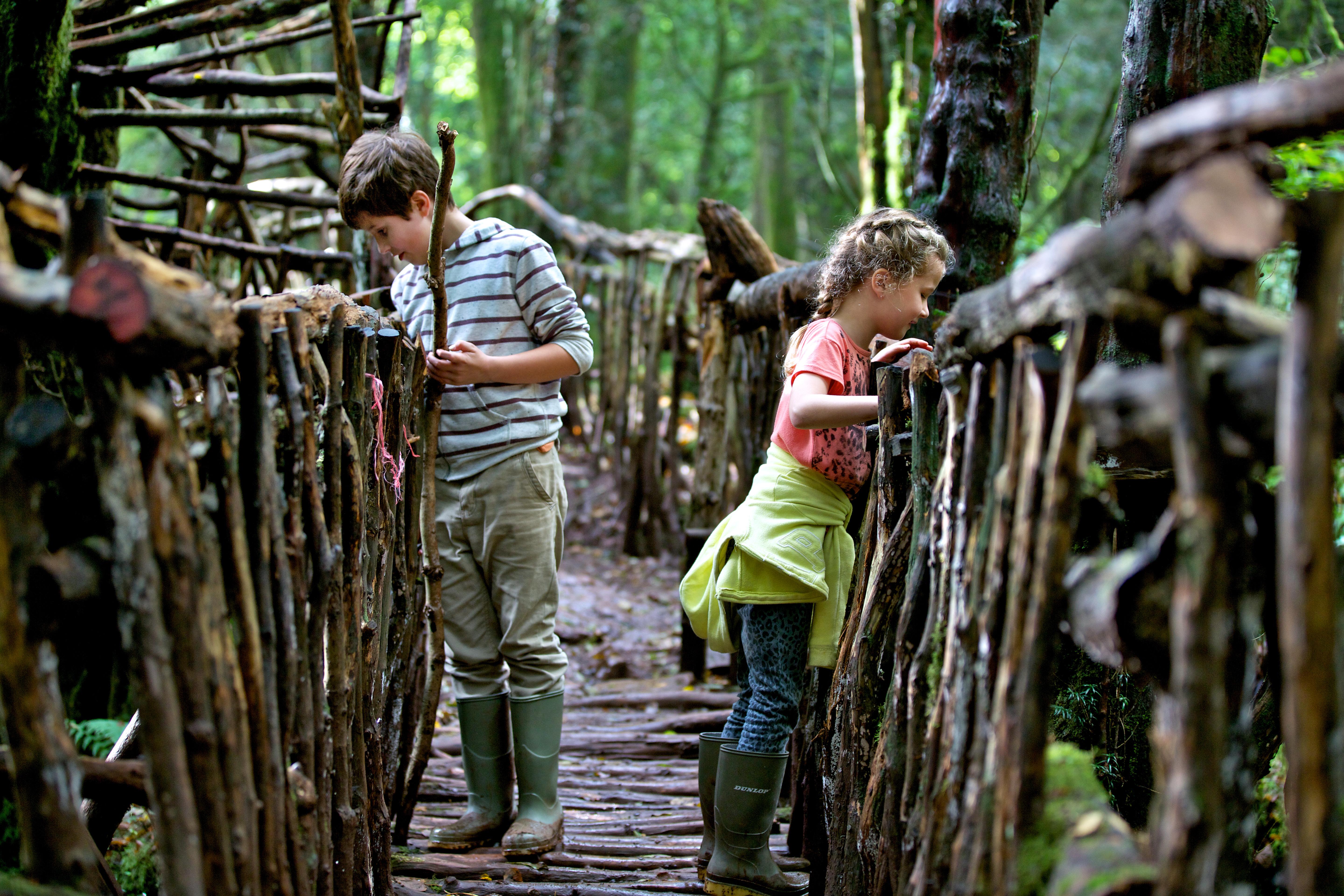 Puzzlewood, Gloucestershire - one of the best family days out in the UK